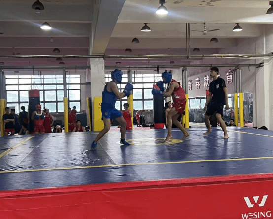 vsport体育锦标图片