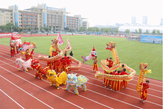 vsport体育冠军图片