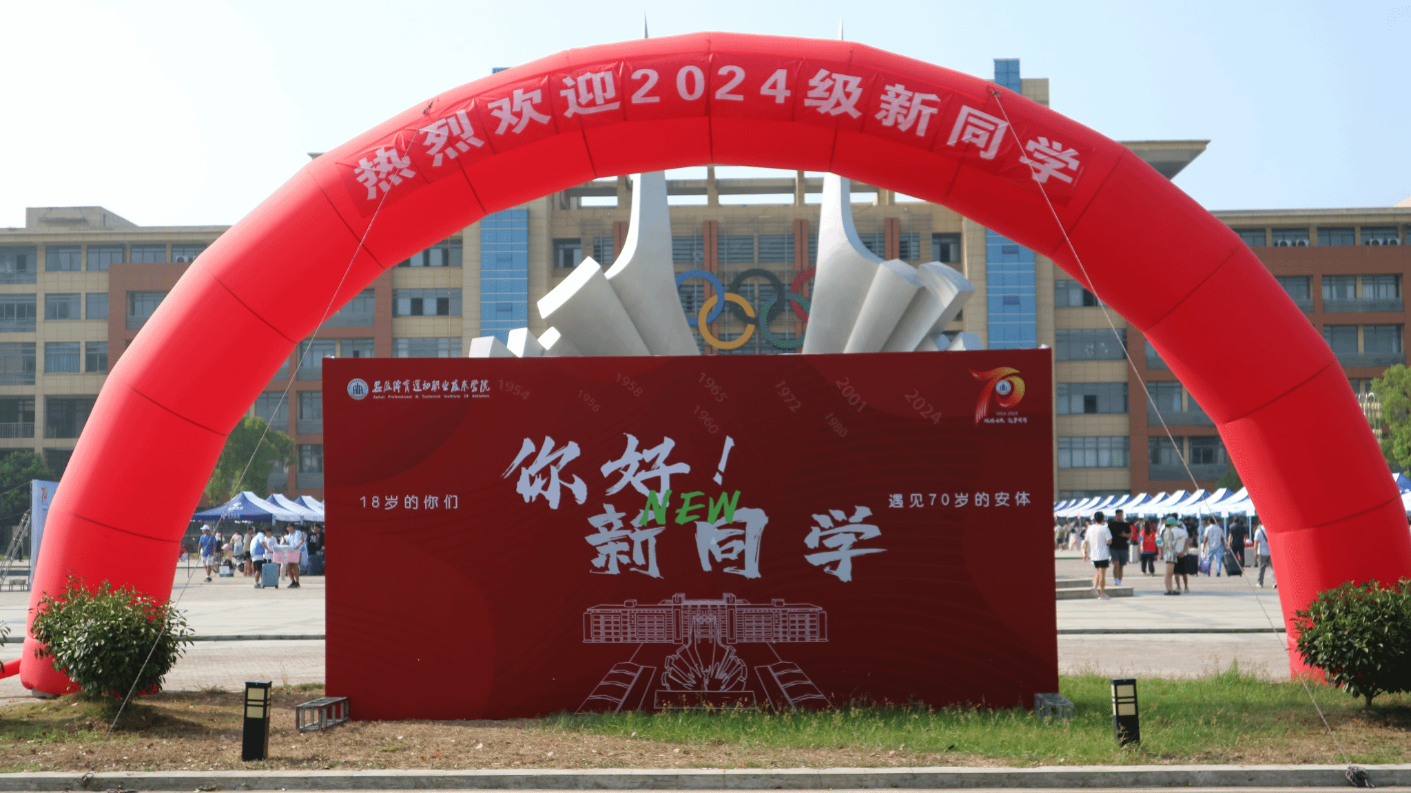 vsport体育激情图片