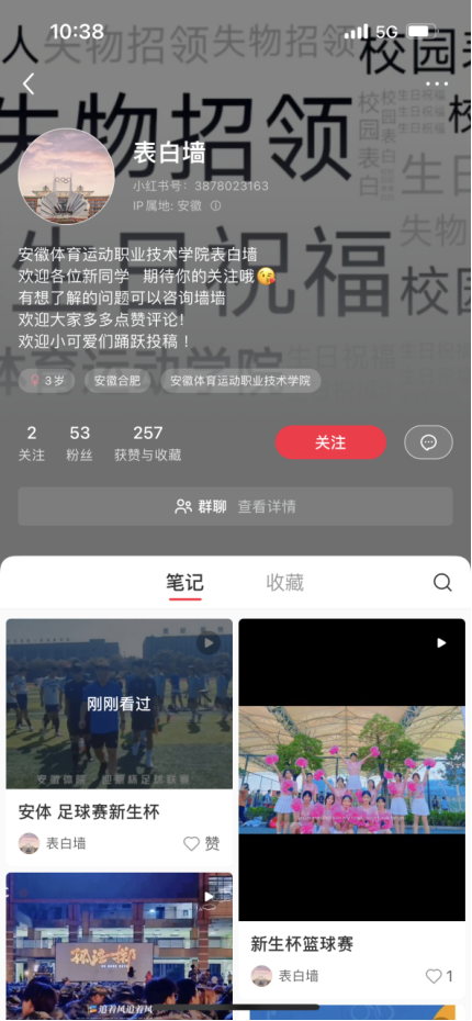 vsport体育竞技图片