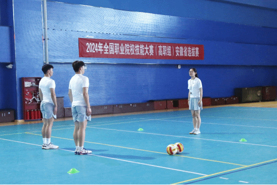 vsport体育荣耀图片